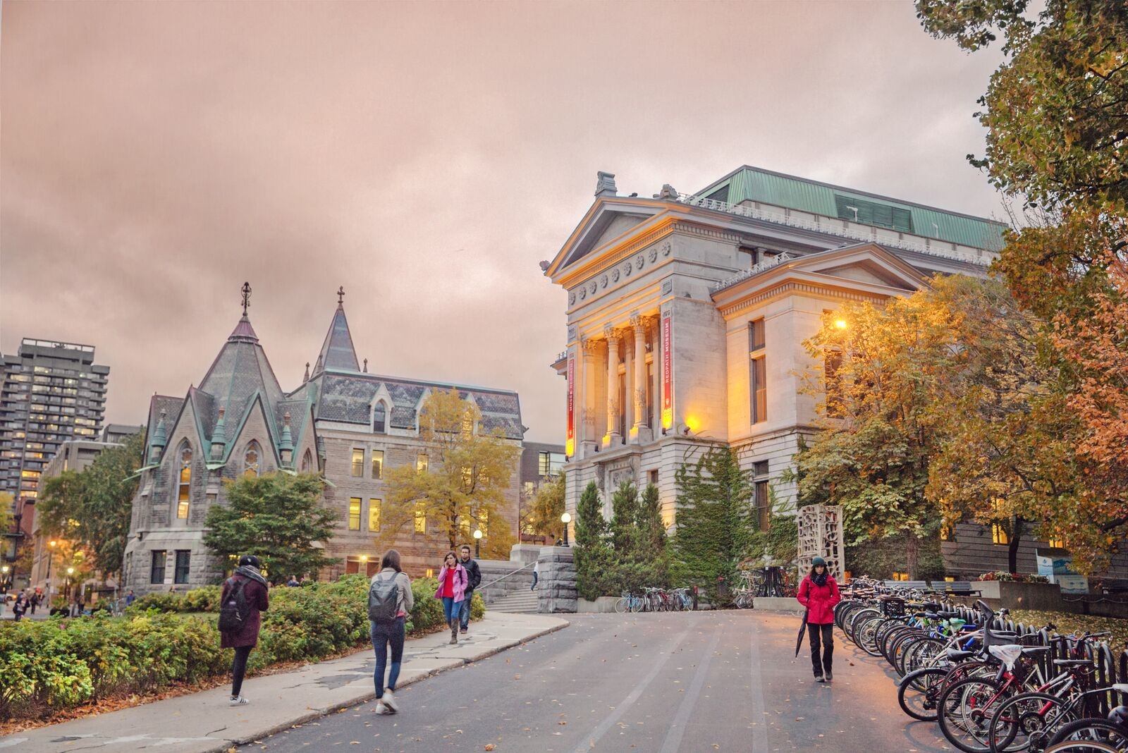 بهترین دانشگاه های کانادا / دانشگاه مک گیل